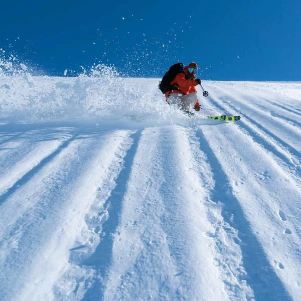 Tout neuf ❤️ Skis Rando BLACK CROWS SOLIS 22 Noir 🔥 – Image 6