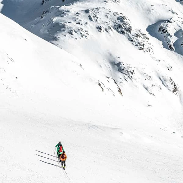 Meilleure vente 👍 Skis Rando VOLKL RISE UP 82 W 22 Bleu / Gris 🌟 – Image 4