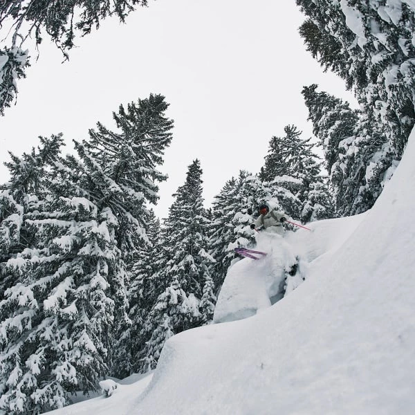 Acheter 💯 Skis Alpin BLACK CROWS CORVUS 22 Noir / Gris 🌟 – Image 5