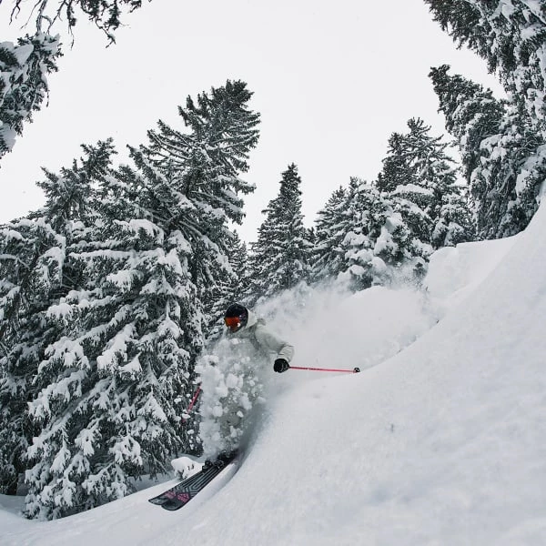 Acheter 💯 Skis Alpin BLACK CROWS CORVUS 22 Noir / Gris 🌟 – Image 6